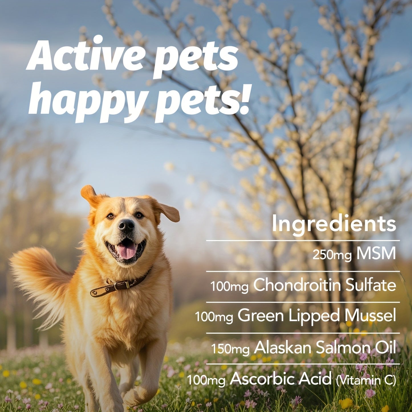 Hip & Joint Supplement for Dogs with Glucosamine & Chondroitin – MSM, Alaskan Salmon Oil Soft Chews for Mobility & Flexibility