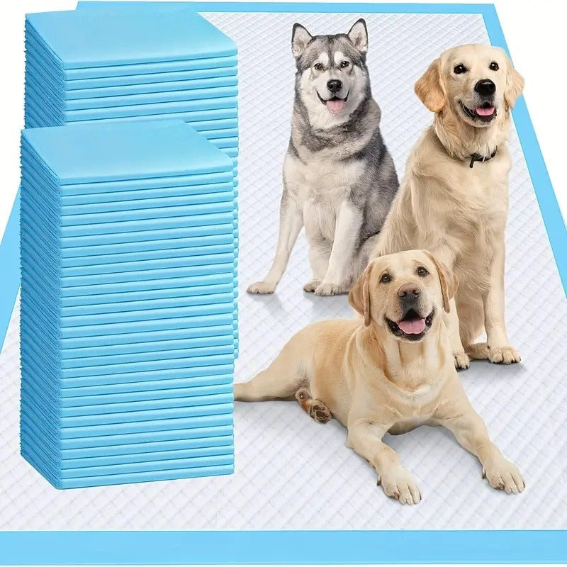 Disposable Dog Pads 24"x24" Bulk Pack – Super Absorbent Leak-Free Puppy Pee Pads with Odor Control for Indoor & Outdoor Use