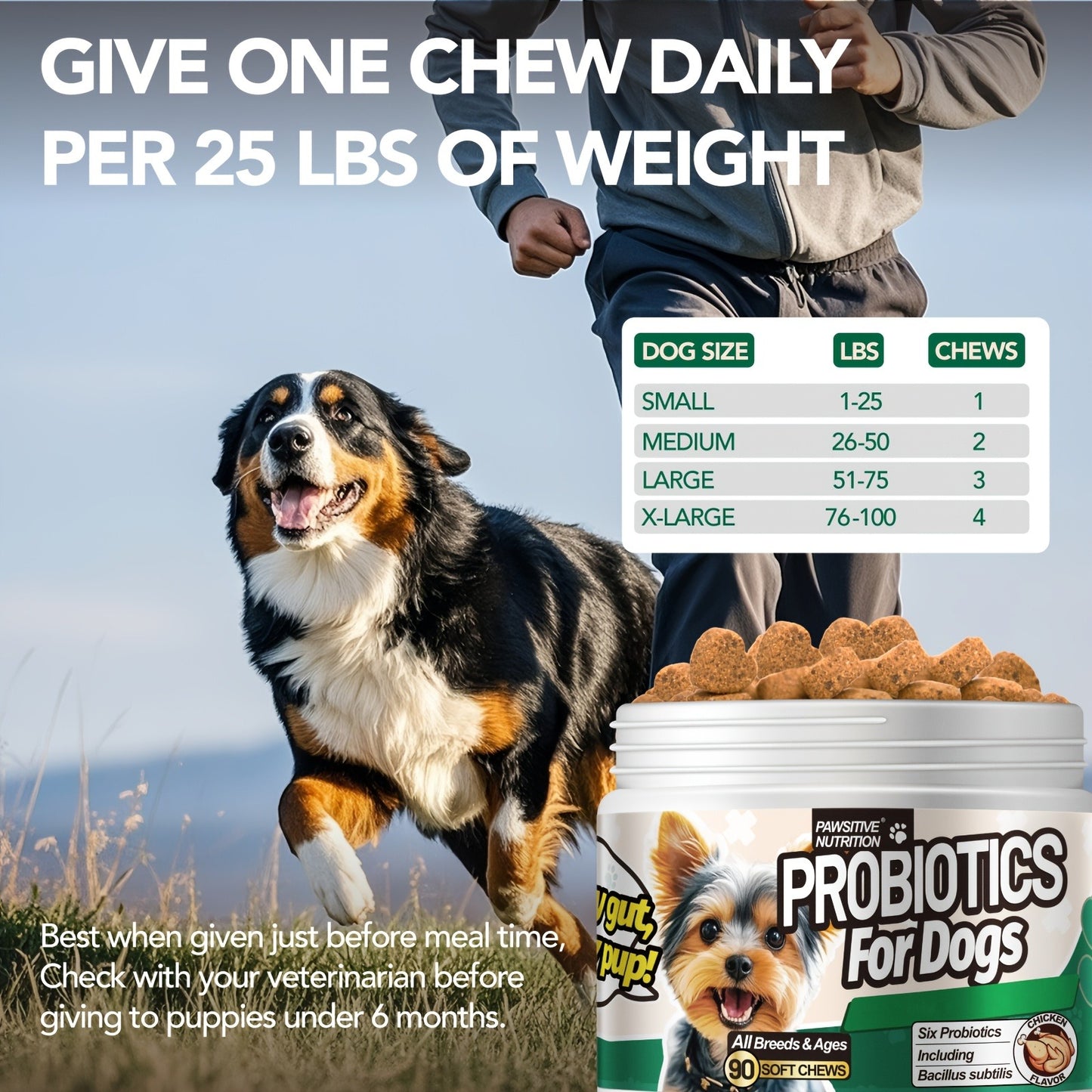 Dog Probiotic Supplement 6 Billion CFU with Prebiotic – 90 Chicken Flavor Chews for Itching Skin Relief, Digestive & Immune Health