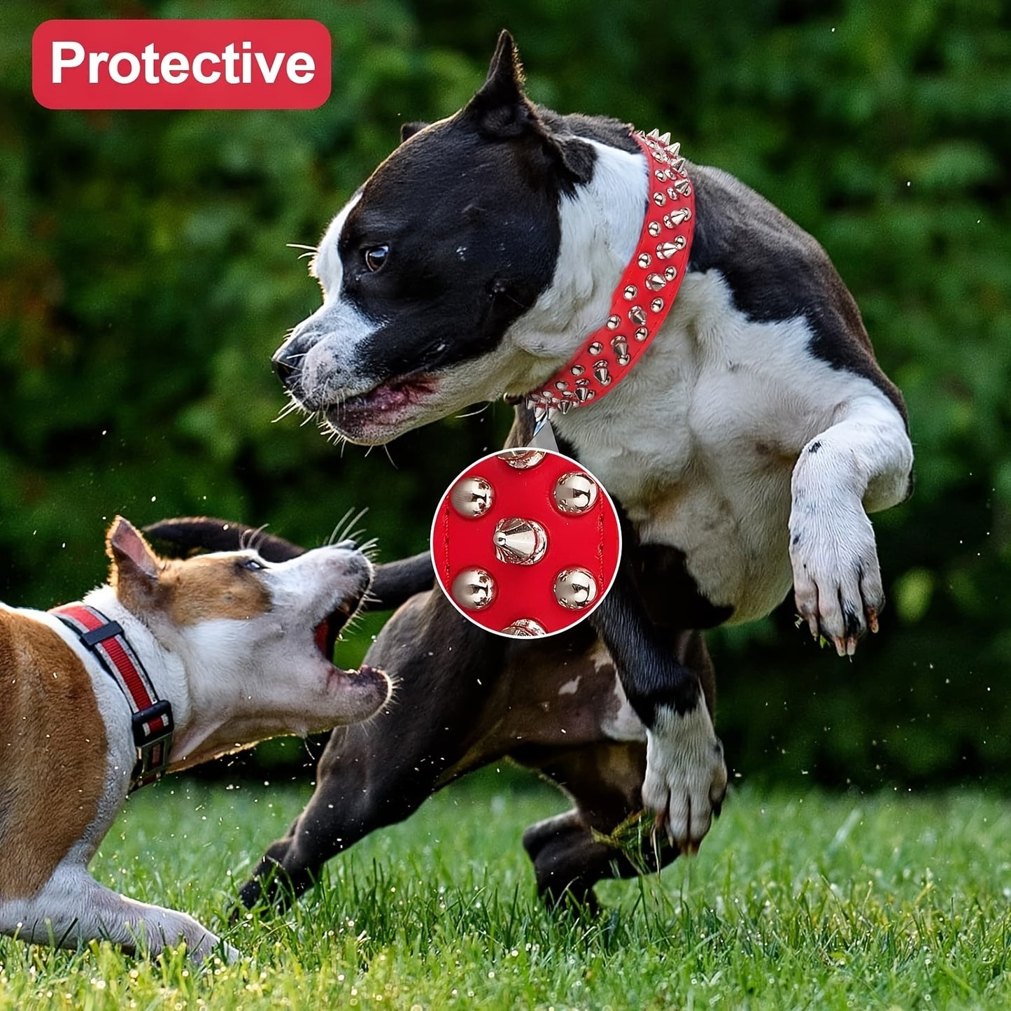 Rivet Dog Collar Bite Resistant with Leash Set, Heavy Duty Metal Buckle Pet Collar for Medium Large Dogs, Adjustable Sizes XS–XXL