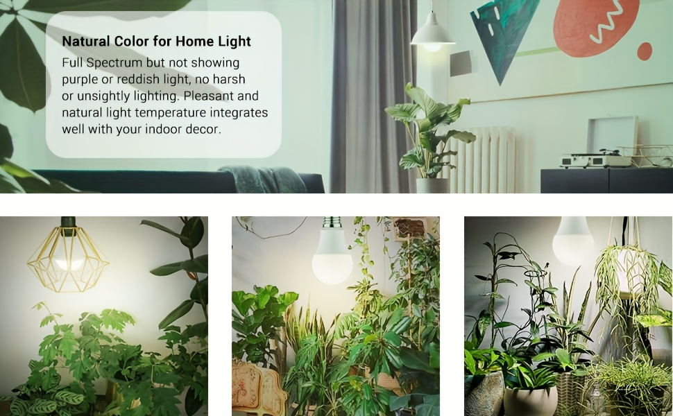 Grow Light Bulb A19 E26 Full Spectrum 9W 100W Equivalent | Natural White 4000K LED Plant Bulb for Indoor Plants Seed Starting | 2 4 6 12