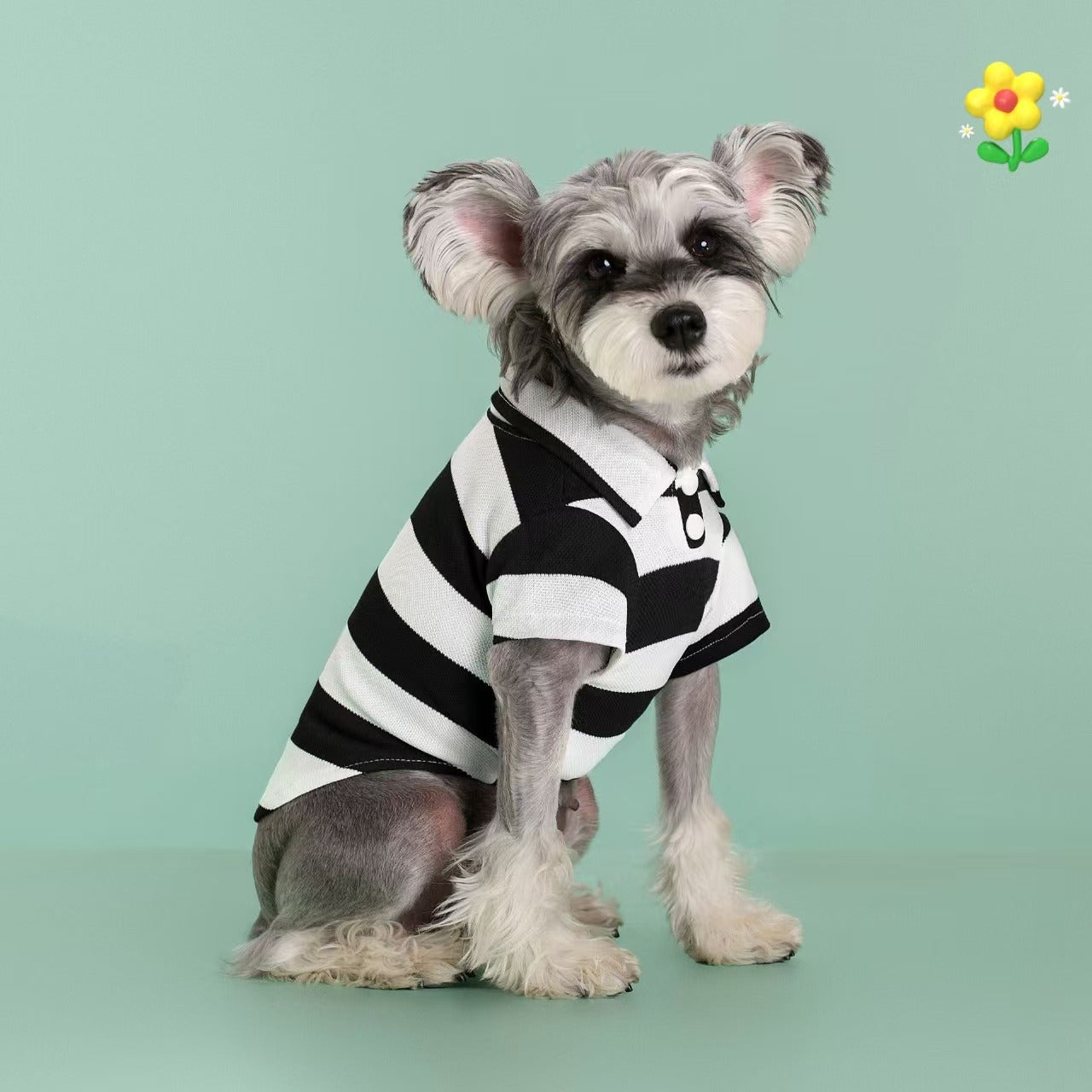 Five-Pack Striped Polo-Style Dog Shirts in Assorted Colors with Seven Size Choices from XS Through 4XL
