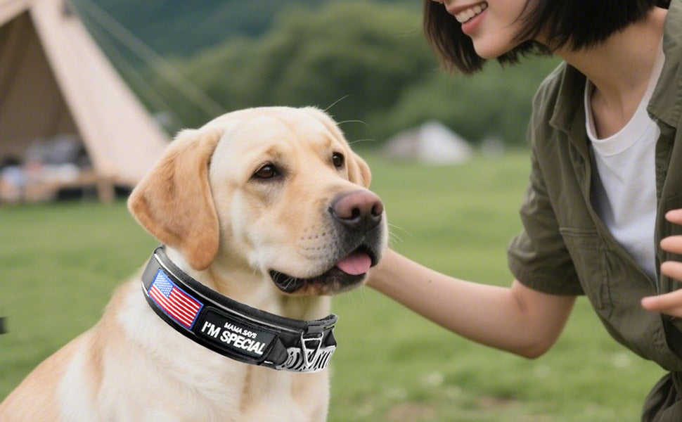 Tactical Dog Collar with Handle & Reflective Stitching – 2.6" Heavy Duty Nylon Collar for Medium & Large Dogs | M, L, XL