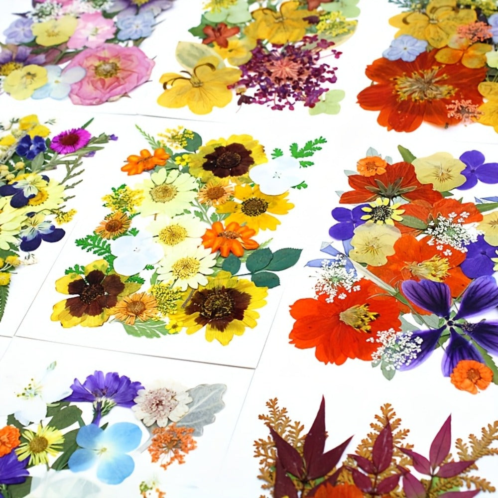 Dried Pressed Flowers Kit 500pcs – Natural Real Flower Petals & Leaves for Resin Art, Nail Art, Jewelry Making, Scrapbooking