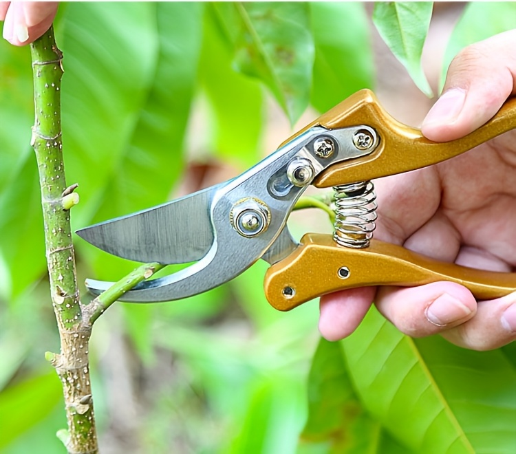 Bypass Pruning Shears with Curved Blade, Return Spring and Gold or Black Coated Handle Options