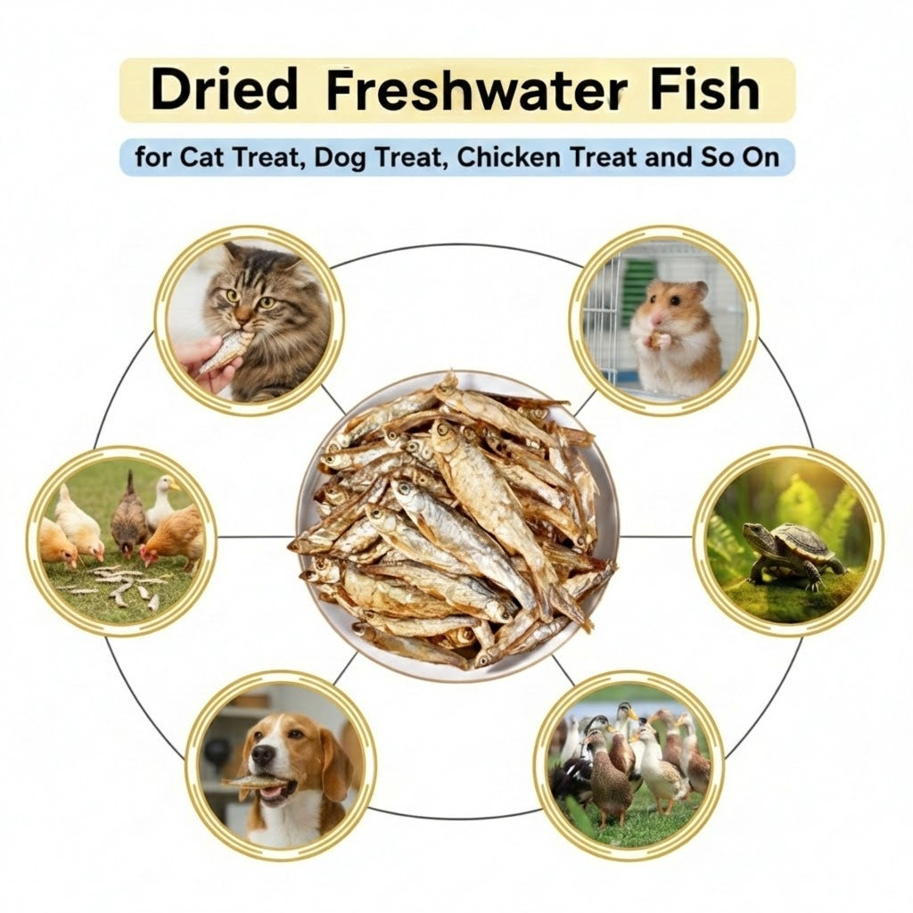 Freeze Dried Whole Minnow Cat Treats – High Protein Fish Bites for Cats, Dogs, Turtles & Reptiles | Natural Freshwater Fish Snacks