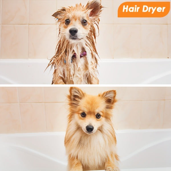 Dog Grooming Vacuum 8-in-1 & 9-in-1 with Dryer Function – 2.2L Large Cup, Low Noise Pet Grooming Vacuum for Shedding, 6 Grooming Tools