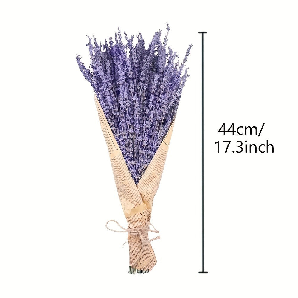 Two-Bunch Dried Lavender Bundle with About 210 Stems and 17-Inch Purple Floral Display Length
