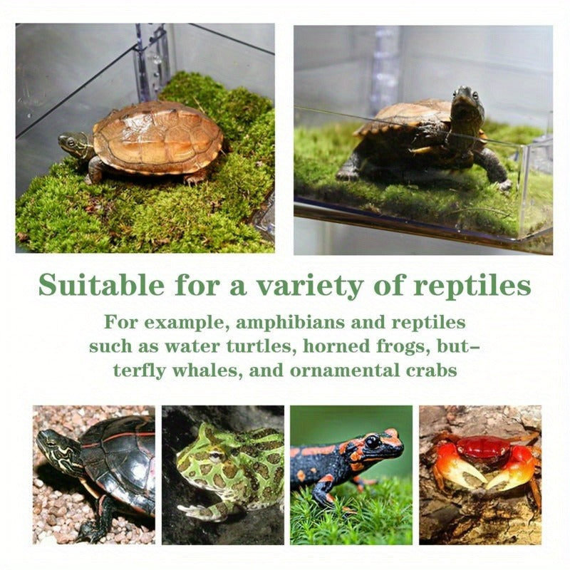 Turtle Basking Platform Acrylic Floating Island – Adjustable Height Climbing Dock with Integrated Ladder | Transparent Perforated Design