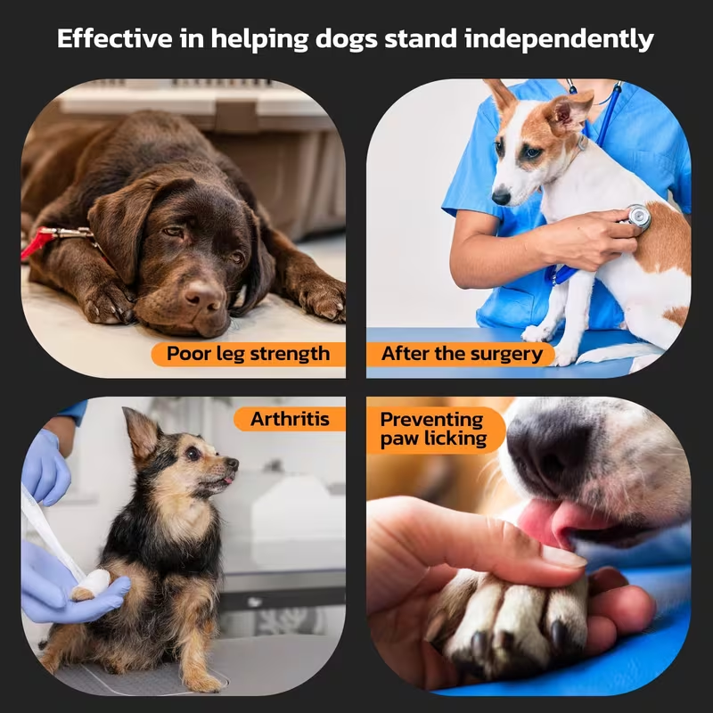 Dog Paw Pads Anti-Slip Sticker Protector 12 Sets 48pcs – Traction Grip Paw Stickers for Senior Dogs on Hardwood Floors