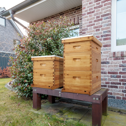 Langstroth Bee Hive Kit Wax Coated Wood 10-Frame 3-Layer Frames for Everyday Face, Beard and Body Grooming