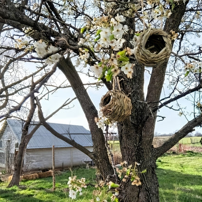 Hummingbird Nest House Handwoven Outdoor Garden Patio Bird Nest – Spherical Design Comfortable Nesting Shelter for Small Birds