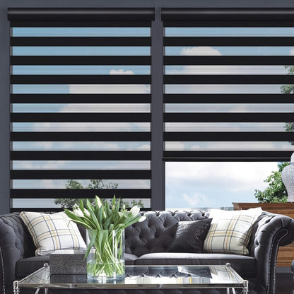 Cordless Zebra Roller Shade with Valance, Day Night Window Blind, Dual Layer Window Treatment Mesh Opaque Fabric