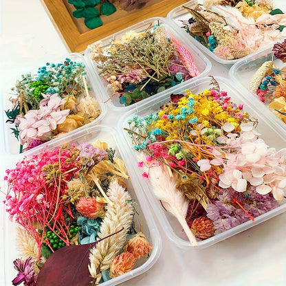 Four-Box Mixed Dried Flower Set with Assorted Colors and Small Botanical Pieces for Craft Decoration