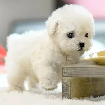 Interactive Robotic White Labrador Puppy Plush Toy, Walks Barks Wags Tail, Realistic Electronic Pet Dog