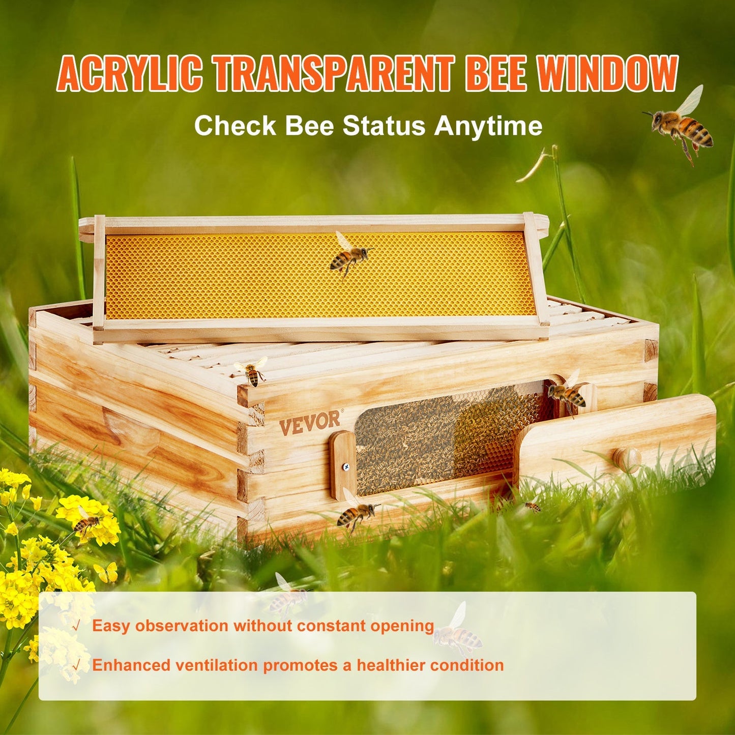 Beehive Kit 10 Frame Cedar Wood Bee Hive with Transparent Windows & Beeswax Coating, for Garden, Yard and Pest Management