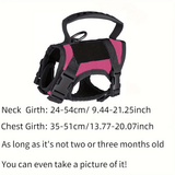 Rose Red