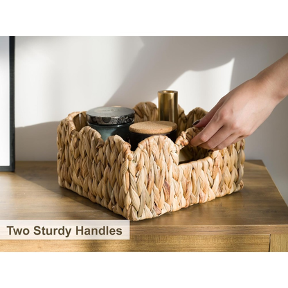 Scalloped Wicker Storage Baskets Set of 2 with Handles in Water Hyacinth or Seagrass Weave