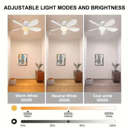 Ceiling Fan with Light and Remote Control, 5-Blade 20 Inch 3-Speed 3-Color Dimmable LED Fan Light