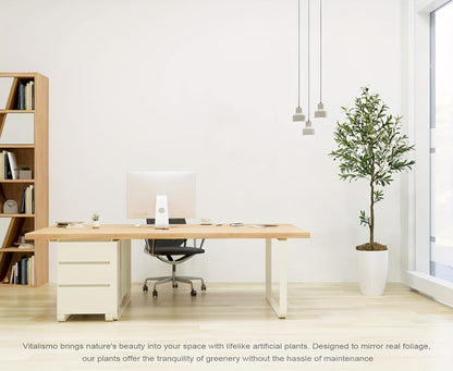 Artificial Olive Tree with Black or White Pot in 6 and 8 Foot Height Checkouts for Indoor Decor