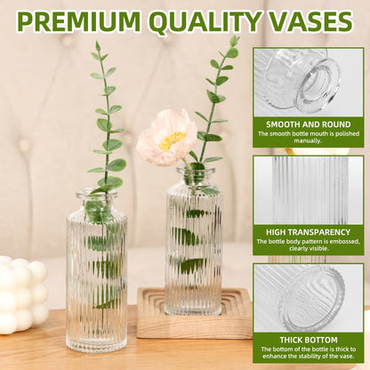Mini Bud Vases Set – Modern Striped Clear Glass Flower Vases for Wedding Centerpieces, Birthday Party, Anniversary, Home Table Decor