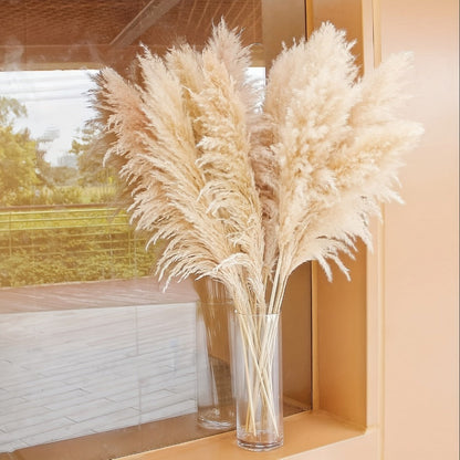 Pampas Grass Decor 10 Stalks 45 Inch Tall Natural Dried Fluffy Plumes for Floor Vase, Living Room
