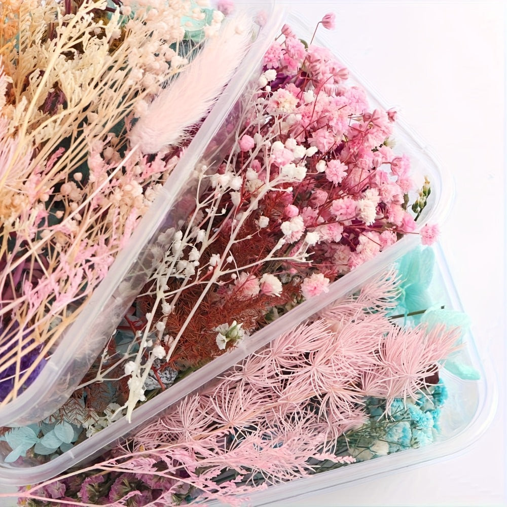Four-Box Mixed Dried Flower Set with Assorted Colors and Small Botanical Pieces for Craft Decoration