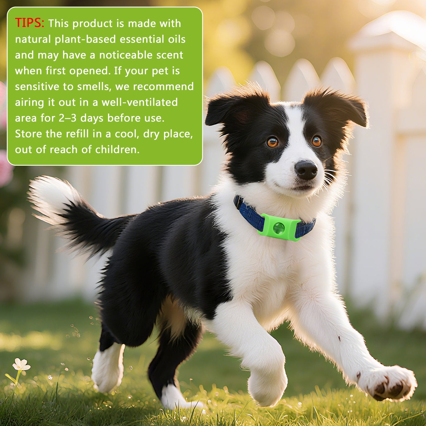 Flea & Tick Repellent Tag for Dogs – Natural Peppermint Essential Oil Capsules, 24/7 Chemical-Free Protection for Indoor & Outdoor Use