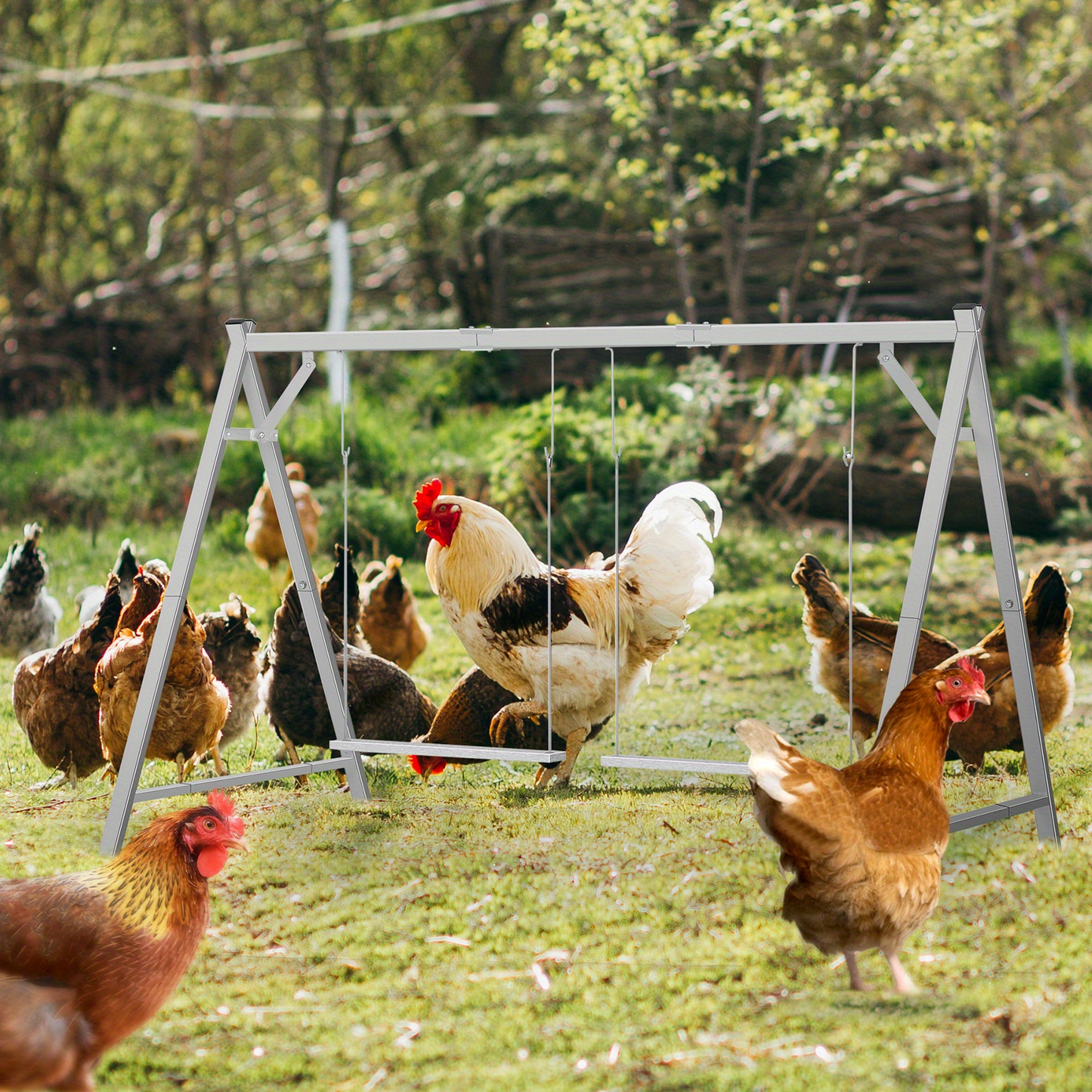 Chicken Swing Coop Toy Metal Perch for Backyard Hens Roosters Parrots Rabbits Promotes Exercise Balance for Garden, Patio and Yard Use