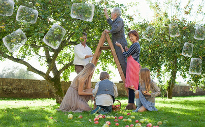 Garden Netting | Plant Protection Bags Drawstring Insect Bird Barrier
