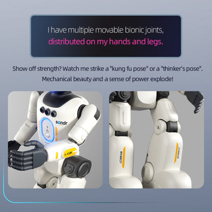 Smart Humanoid Robot Toy with Gesture Sensor & Voice Recorder, Advanced Pose-Controlled Joints, Smart Remote Control