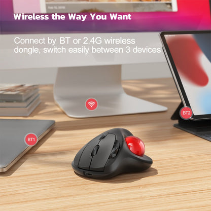 Wireless Trackball Mouse Rechargeable Thumb Control 3 Device Connection 2.4G USB Receiver for an Everyday Personal Care Routine