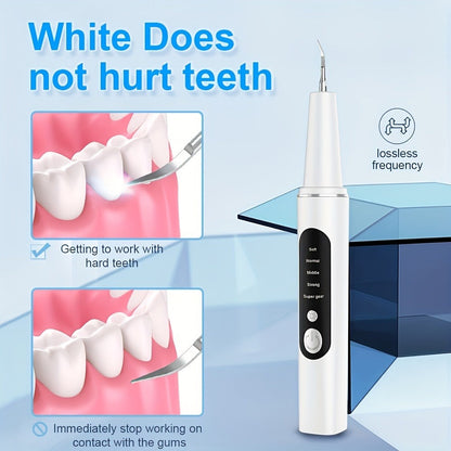 Electric Toothbrush Kit with LED Light & 5-Mode Adjustment, 3 Brush Head Accessories, Deep Cleaning Oral Care Set for Home Use
