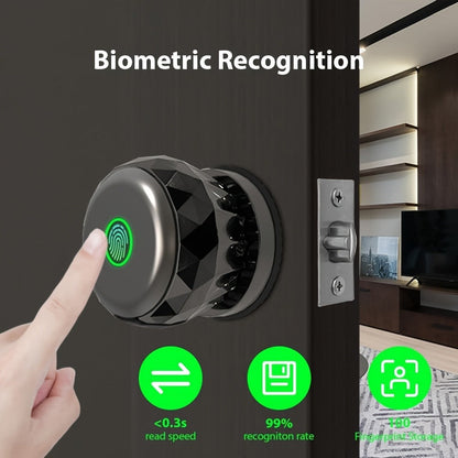 Fingerprint Handle Door Lock with IC Card & Key - 3-in-1 Biometric Keyless Entry, 100 Fingerprint