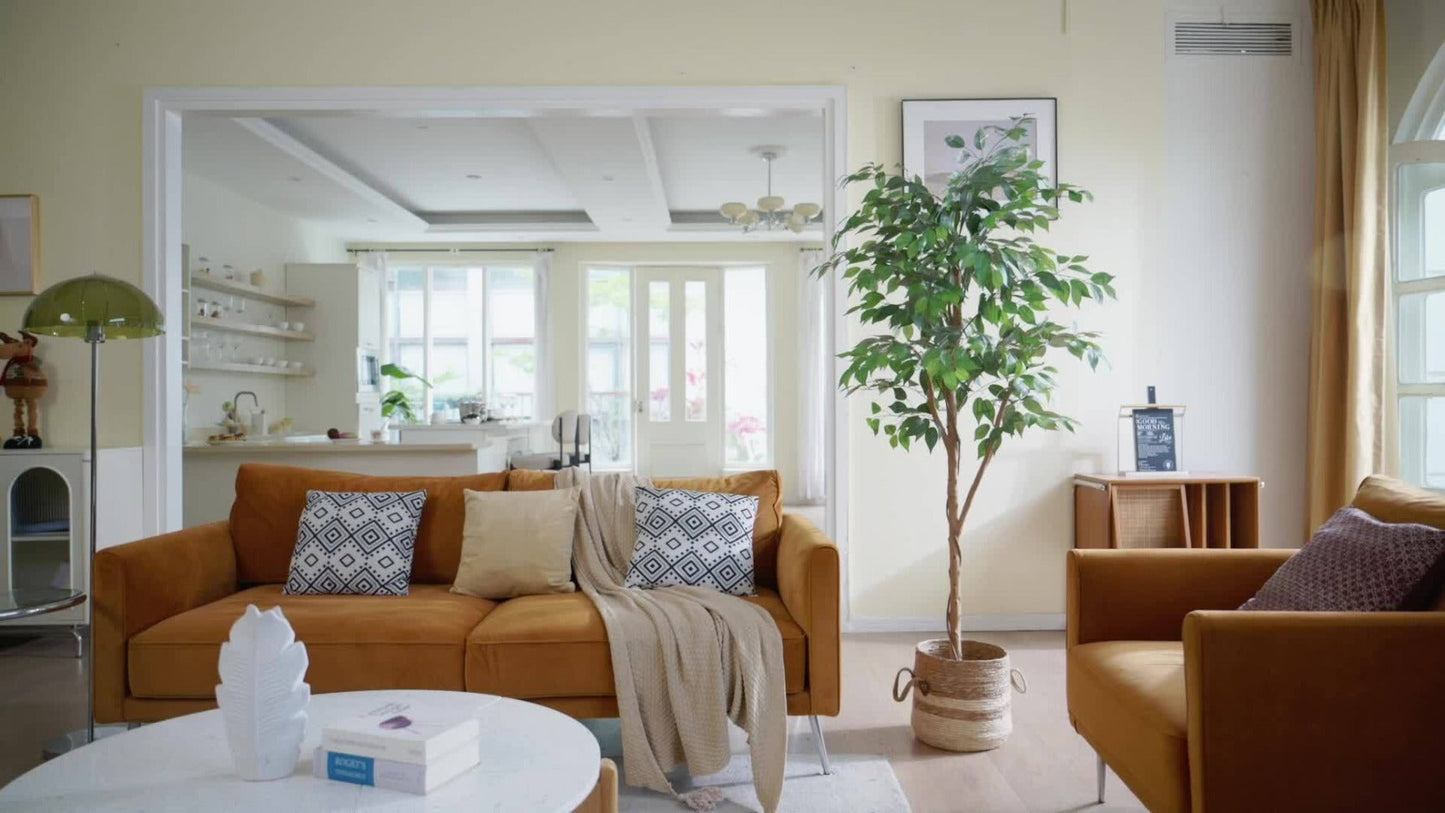 Artificial Ficus Tree with Braided Trunk, Full Green Canopy, Black Pot and 4, 5 or 6 ft Height Options