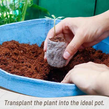 Peat Pellets Seed Starter 35mm Compressed | 50/100pcs Expandable Coir Discs for Seedlings Vegetables Flowers Herbs | Indoor Outdoor Seed