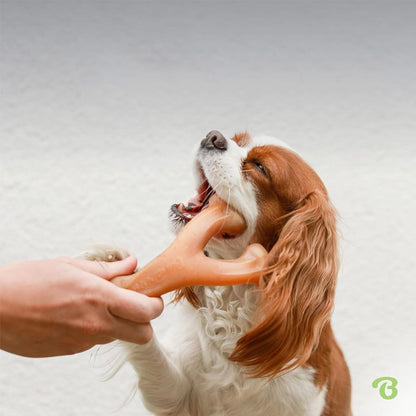 Dog Chew Toy Bacon Flavor Teeth Cleaning Bone – Durable Interactive Chew Stick for Aggressive Chewers, Dental Cleaning Toy for Dogs & Cats