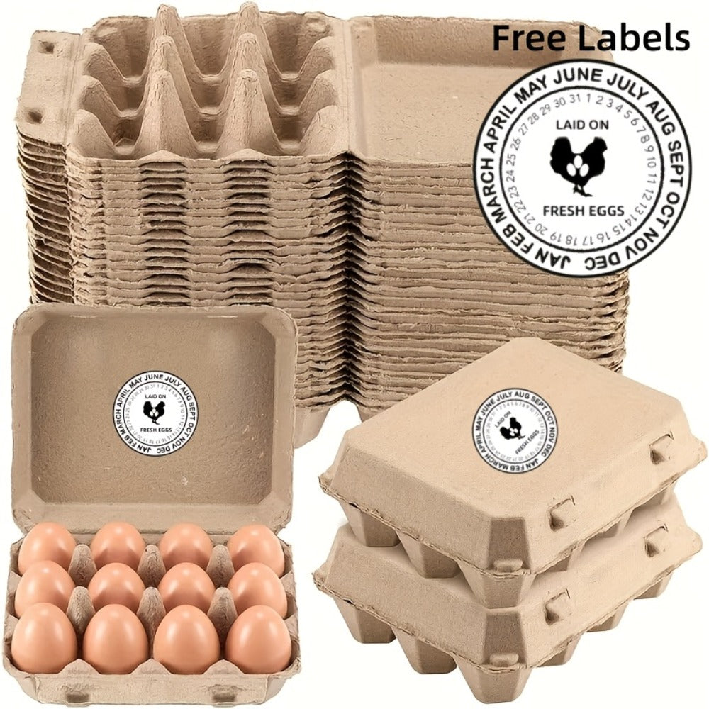 Egg Cartons 12 Egg Holder Reusable Pulp Egg Storage Container Box for Kitchen Chicken Coop for Home Cooking, Dining and Outdoor Meals