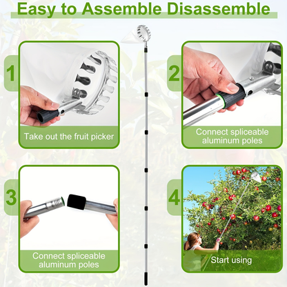 Stainless Steel Fruit Picker with Adjustable 63 to 157 Inch Extension Pole and Non-Slip Handle for Orchard Harvesting