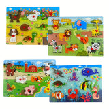 Peg Puzzle