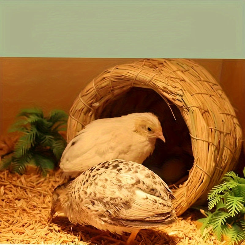 Bird Nest Handwoven Straw Soft Lining Chicks Small Pets Indoor Outdoor