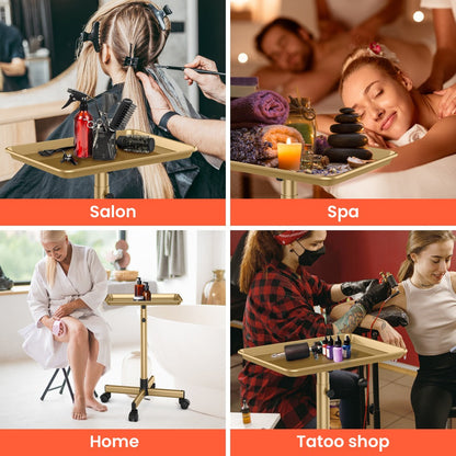 Rolling Salon Tray Cart on Wheels Adjustable Height 17.9x12.8 Inch Mobile Stylist Tray Table for Spa Tattoo Studio Blowdry Bar Aesthetic