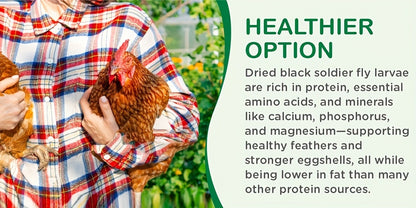 Non-GMO Dried Black Soldier Fly Larvae 5LB & 10LB – 85X More Calcium Than Mealworms, High Protein BSFL Treats for Chickens, Ducks