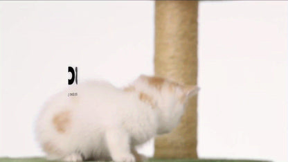 55-Inch Plant-Style Cat Tree with Platforms, Round Pass-Through Perch, Hammock and Four Colors