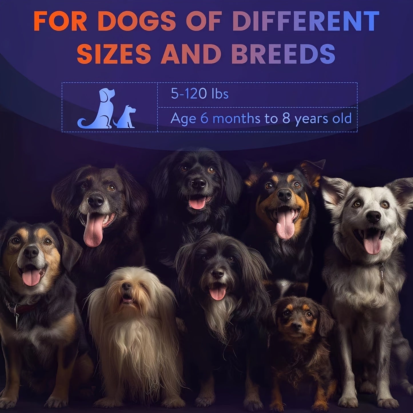 Anti-Barking Device for Dogs – Ultrasonic Bark Deterrent with Soundwave Technology, Portable Handheld Stop Barking Tool