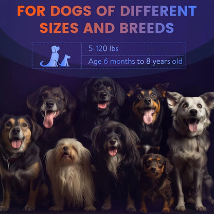 Anti-Barking Device for Dogs – Ultrasonic Bark Deterrent with Soundwave Technology, Portable Handheld Stop Barking Tool