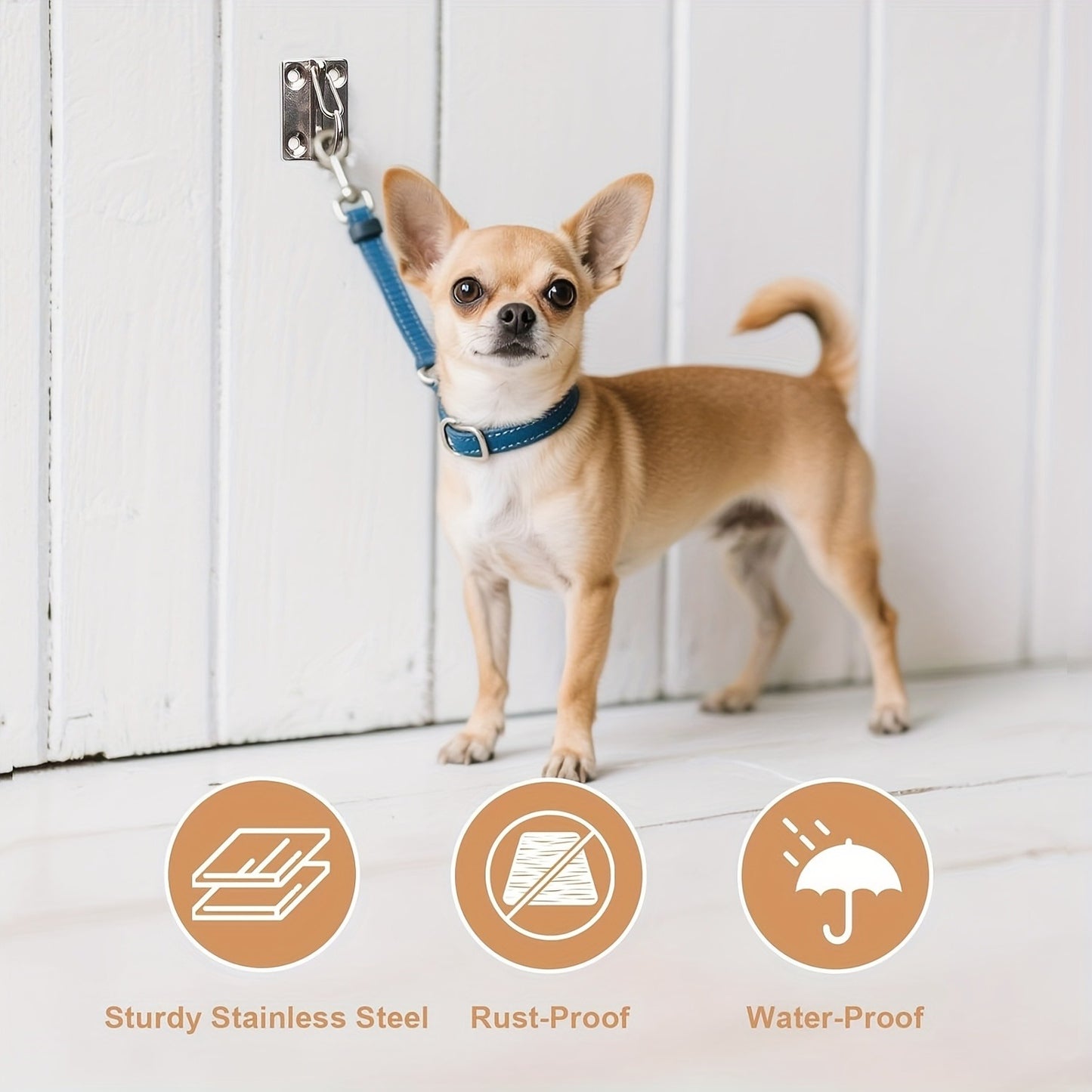 Heavy Duty Dog Tie Out Wall Hooks Set of 2 – Metal Wall-Mounted Leash Anchor with Dual Switchable Hooks, Scratch-Resistant for Walls