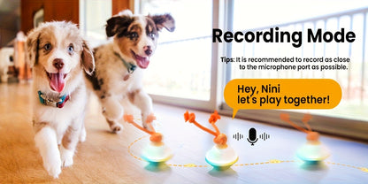 Automatic Rolling Dog Ball Toy with Rope – Motion-Activated Wicked Ball with Voice Recording, Interactive Self-Moving Stimulation Toy
