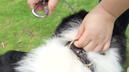 Stainless Steel Dog Leash Reflective Rust-Resistant Heavy Duty Cable Tie-Out for Medium Large Dogs Outdoor Yard Camping 3XL 4XL