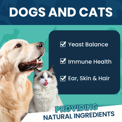 Yeast Supplement Drops for Dogs & Cats – No Odor Formula with Pau D’Arco Bark & Goldenseal Herb Liquid Extract | Easy-to-Use Pet Antifungal